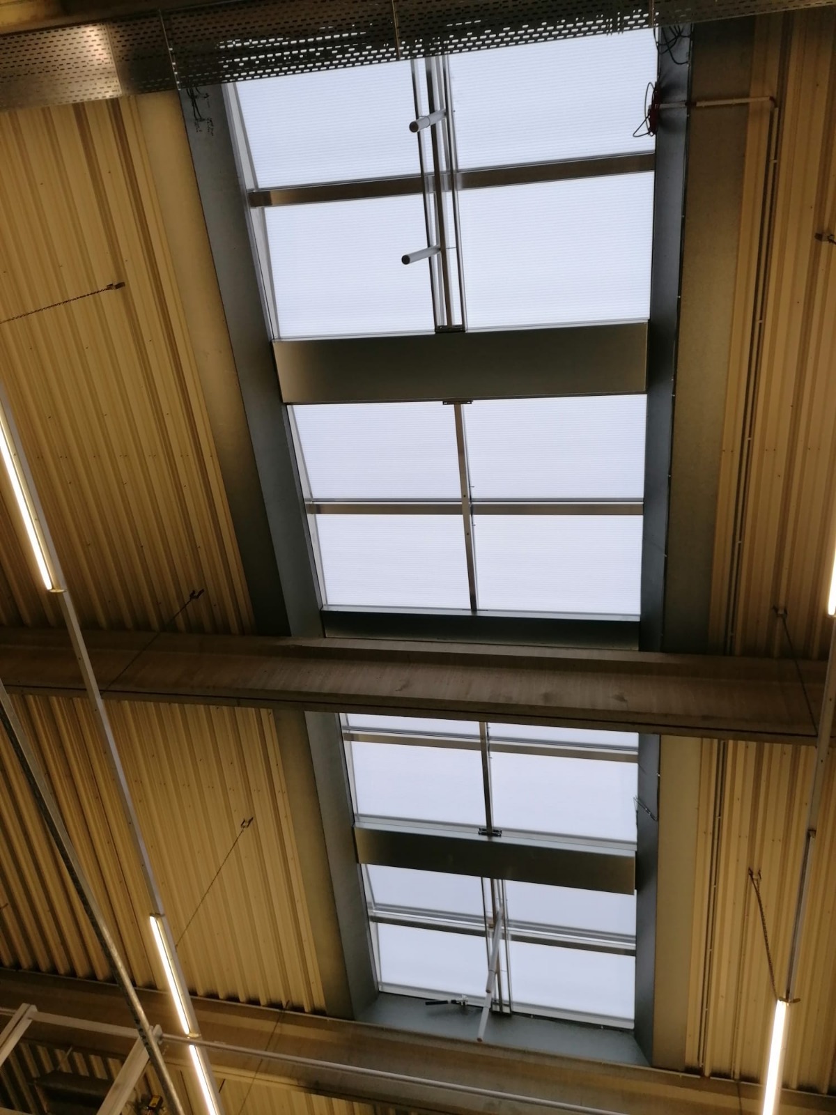 Tageslicht Projektbild